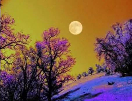 Purple Hillsの公式MVに映る紫色の風景